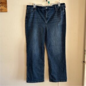 #103 Buffalo David Bitton Alyssa Highrise Straight Leg Stretch Denim (18/38)